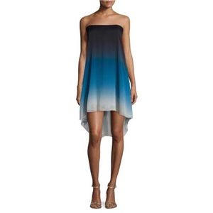 Strapless Halston Heritage Ombré Dress